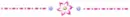 flower divider