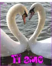 Ti Amo (I Love You in italian)