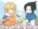 sasuke and naruto