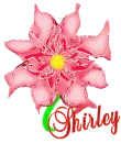 Shirley