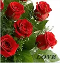 rose