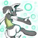 Suki's Lucario