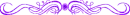 PURPLE DIVIDER