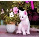 cute!!