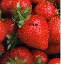 strawberry