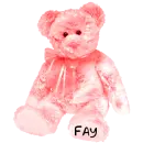 Fay teddy bear
