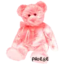 Phoebe teddy bear