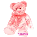 Christen teddy bear