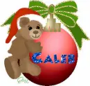 Teddy Bear Christmas Ornament- Caleb