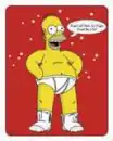 homer1