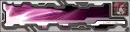 Gundam SEED&Gundam SEED DESTINY