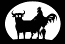 gallo y vaca