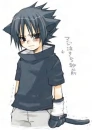 sauske cat