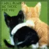 kitty