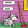 Hoe...Bitch
