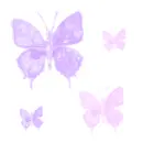 butterflies