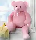 Pink Teddy