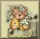 cute teddy