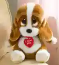 teddy love