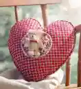 teddy love1