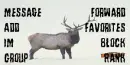 deer in winter