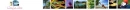 IICR Banner