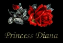 ROSE FOR A PRINCESS