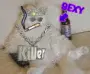 Funny cat