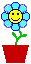 flowers happy