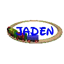 Train Set (animated)- Jaden
