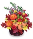 FALL