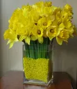 MELLOW YELLOW