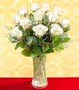 SOFT WHITE 