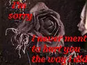 I'm Sorry