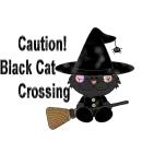 black cat crossing