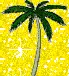 palm tree