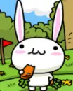 cute bunny eating carrot