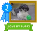 Love my puppy