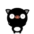 pig