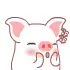 pigs