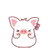 pigs