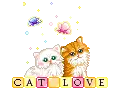 2 Kittens