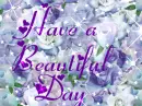 have a beautiful day