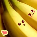 bannanas