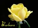 BARBARA 