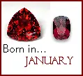 Born in January