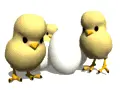 POLLITOS