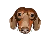 dog :)