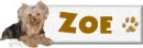 Yorkie Nameplate- Zoe