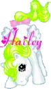 HAILEY